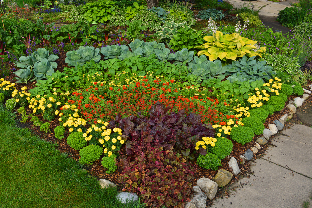How to Design a Rainbow Garden