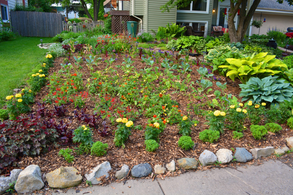 Rainbow Garden Planted with Mulch