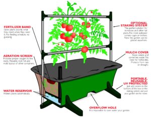 Earthbox Garden Kit