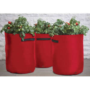 Tomato Patio Plant Bags