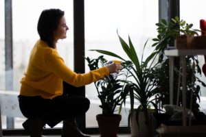 Woman watering houseplants