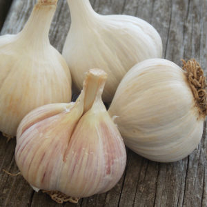 Hardneck garlic on a wooden table