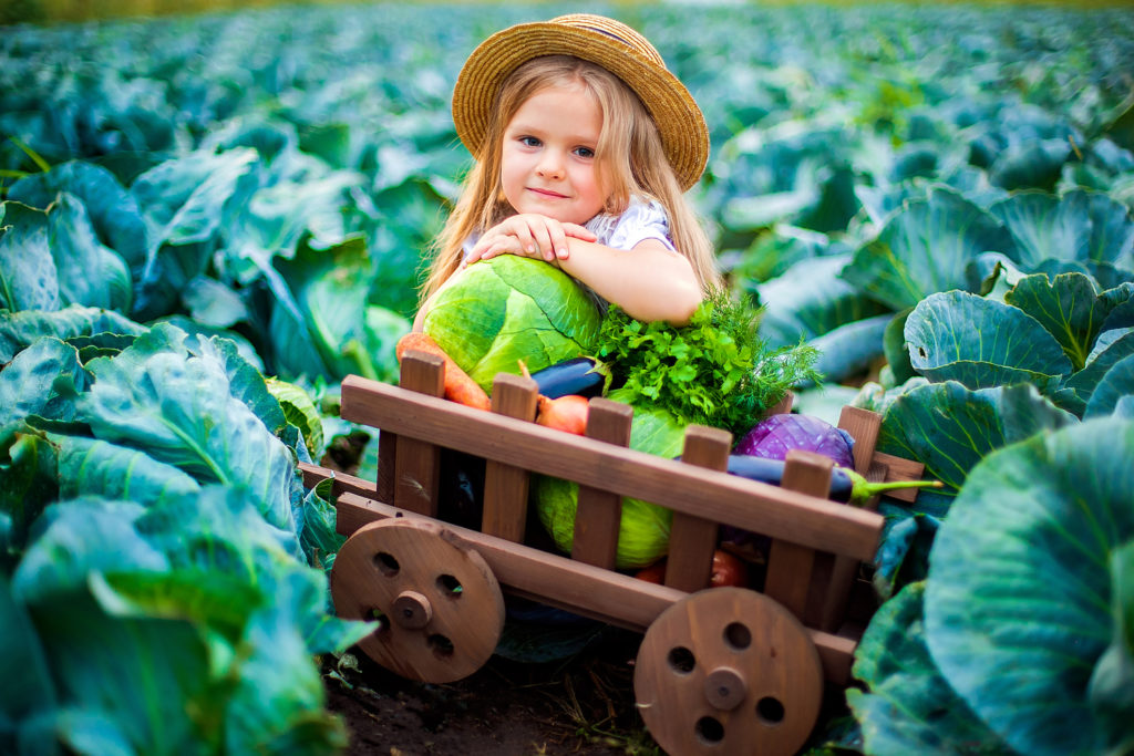 Happy girl in straw hat on cabbage field with basket of vegetables