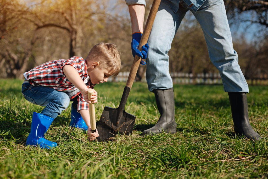 A little boy digging a hole for a tree with his dad