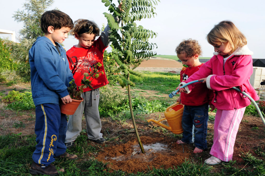 children planting a tree