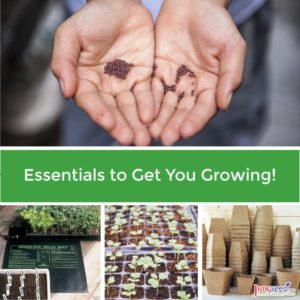Essentials to get you growing