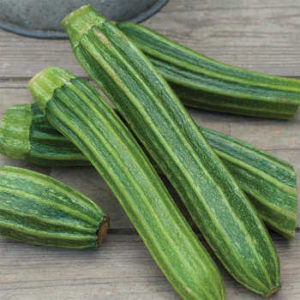 Zucchini on a table