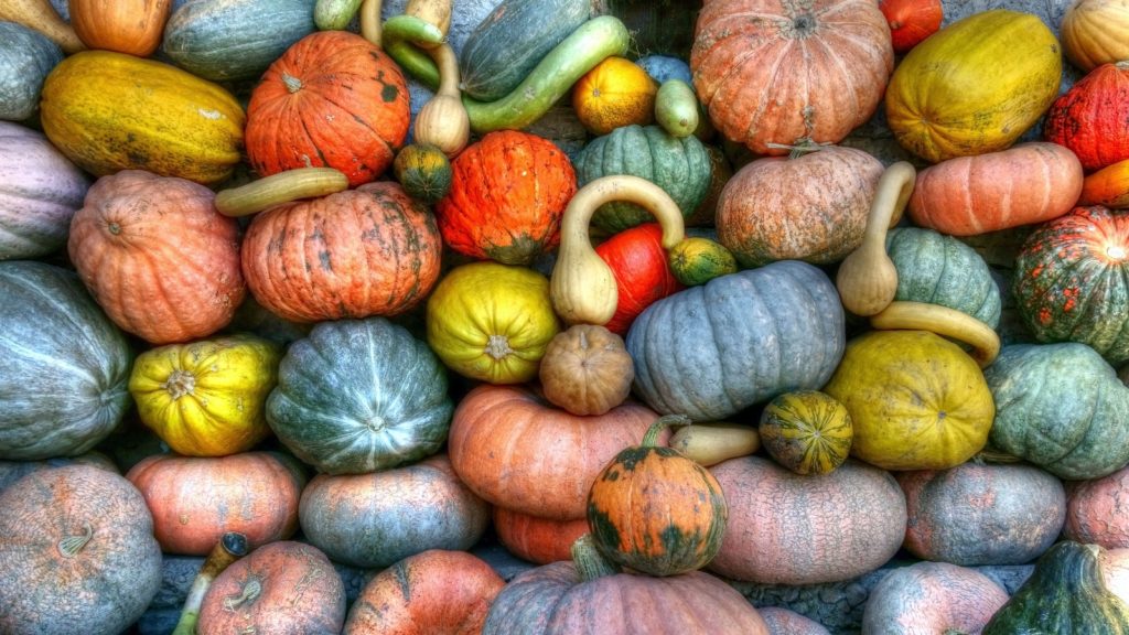 green orange and yellow pumpkins