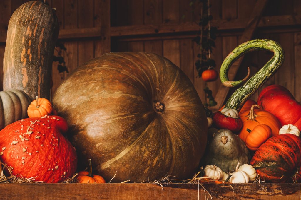 Pumpkins and squash in a barn