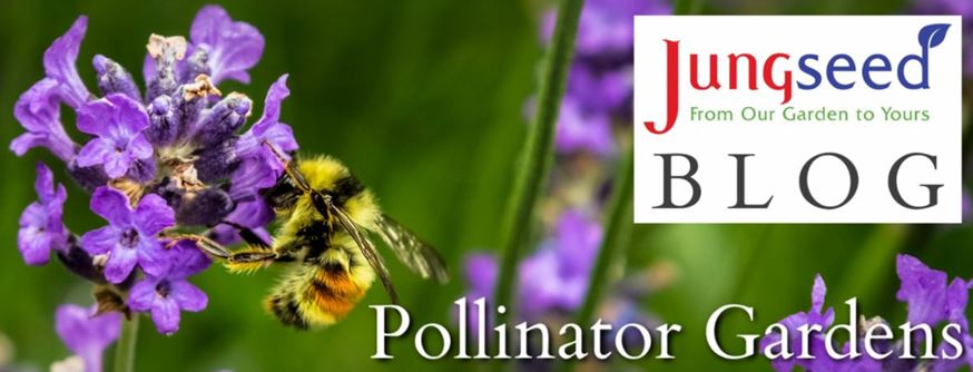 Pollinator Garden Article Ad