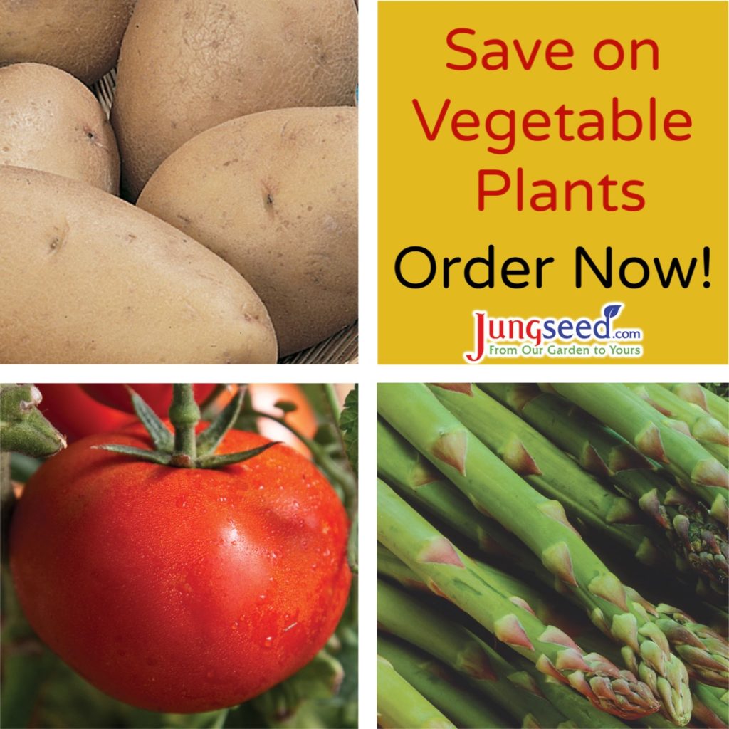 Guía de cultivo de patatas | Blog de jardinería Estiercoles.com 2021 Ahorre en verduras. Ordenar ahora.