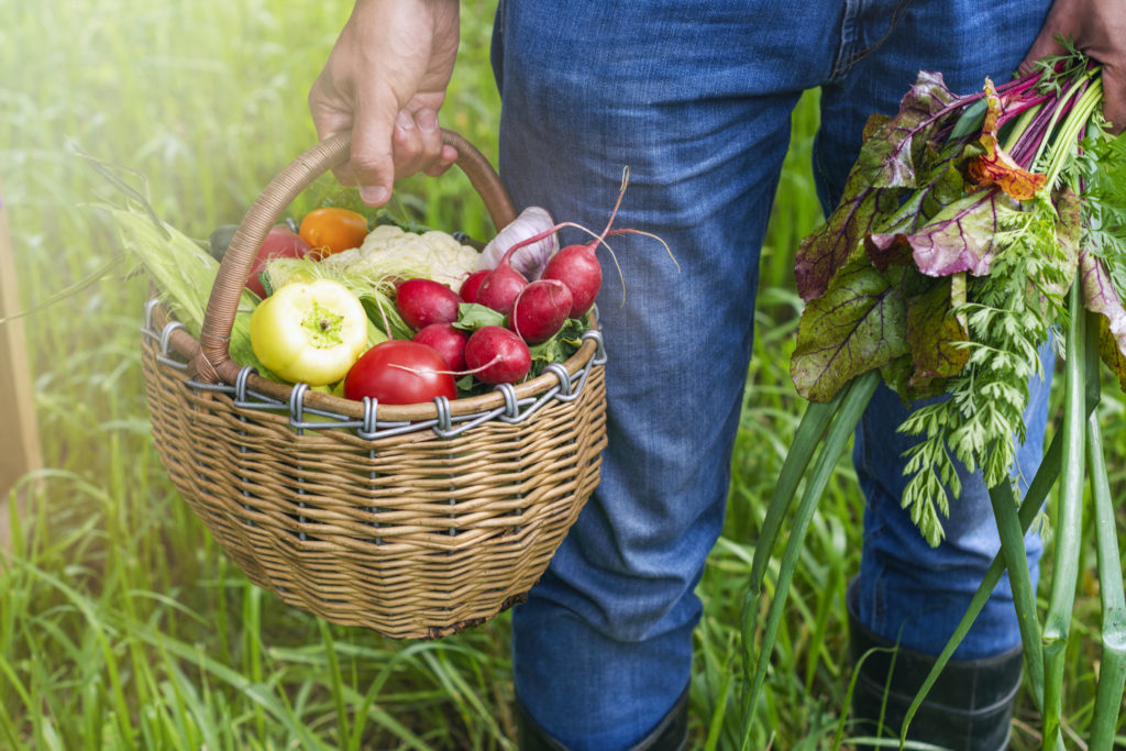 A man is holding a large basket with fresh vegetables.