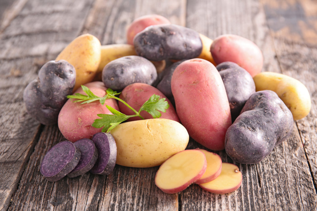 Multicolored Potatoes