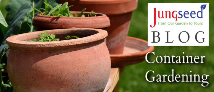 Container Gardening Article Ad