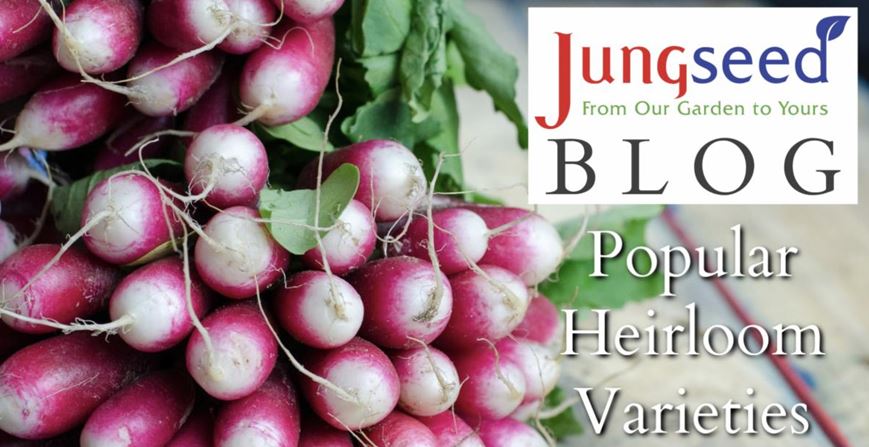 Popular Heirloom Varieties