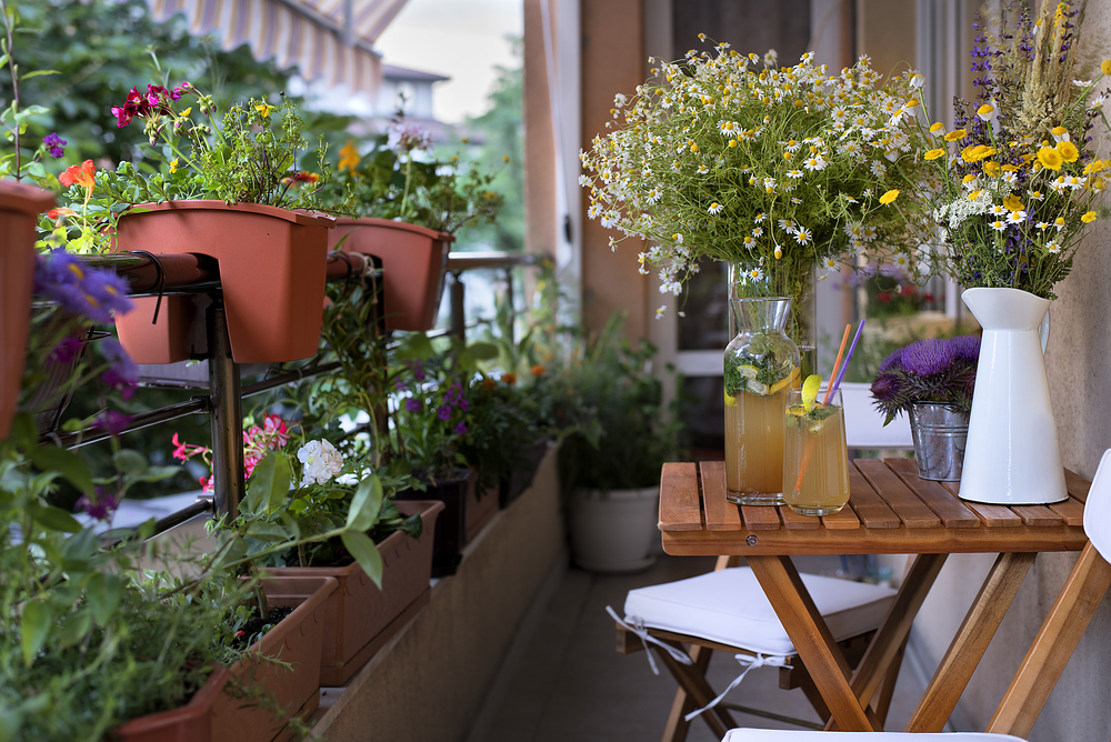 Flowers on a balcony