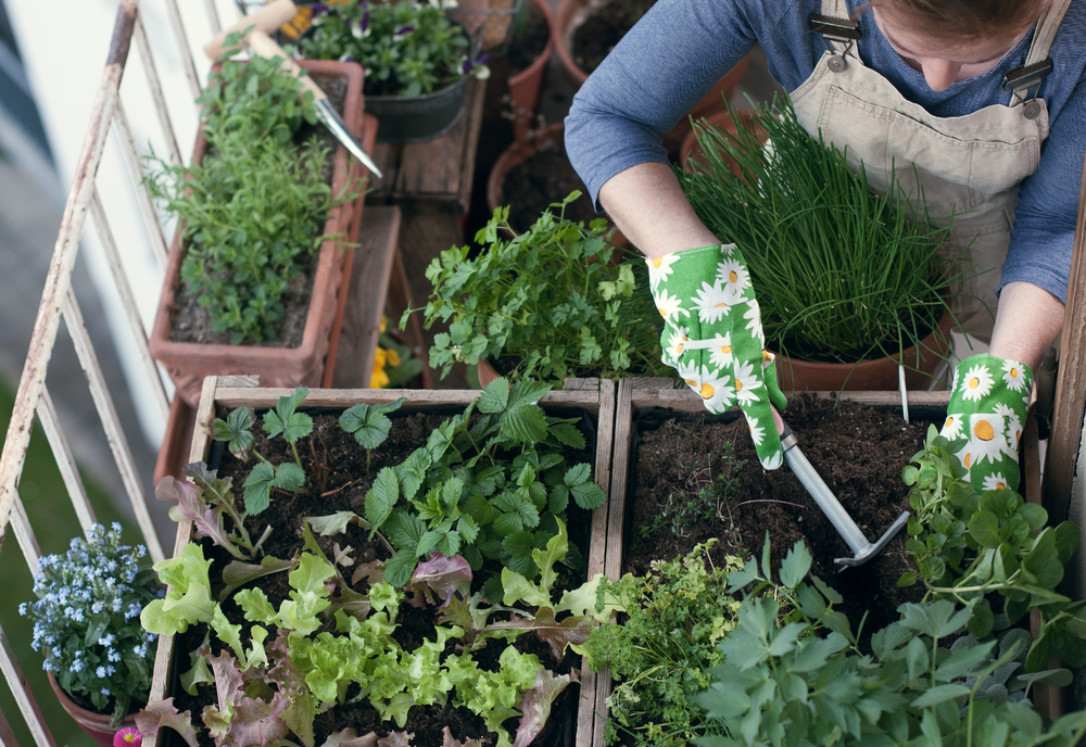 A woman working in her balcony garden