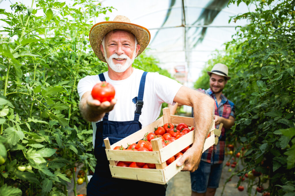 Grandfather and his grandson in a greenhouse