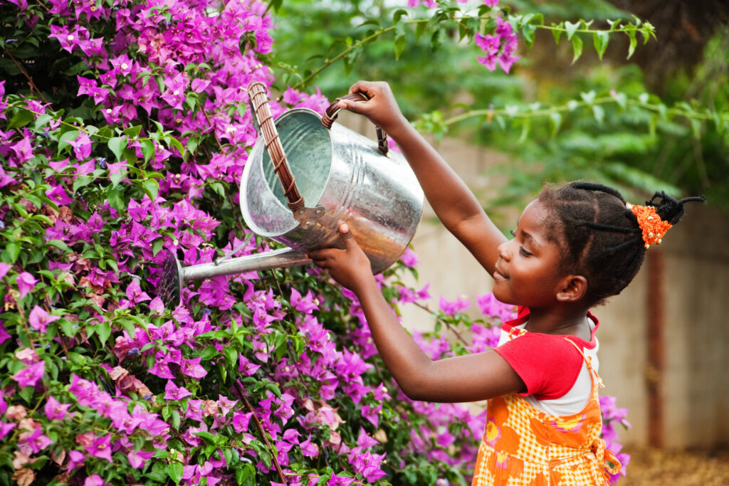 A young girl watering purple flowers