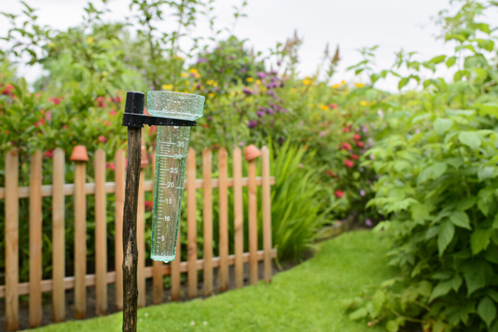 A rain gauge in the garden