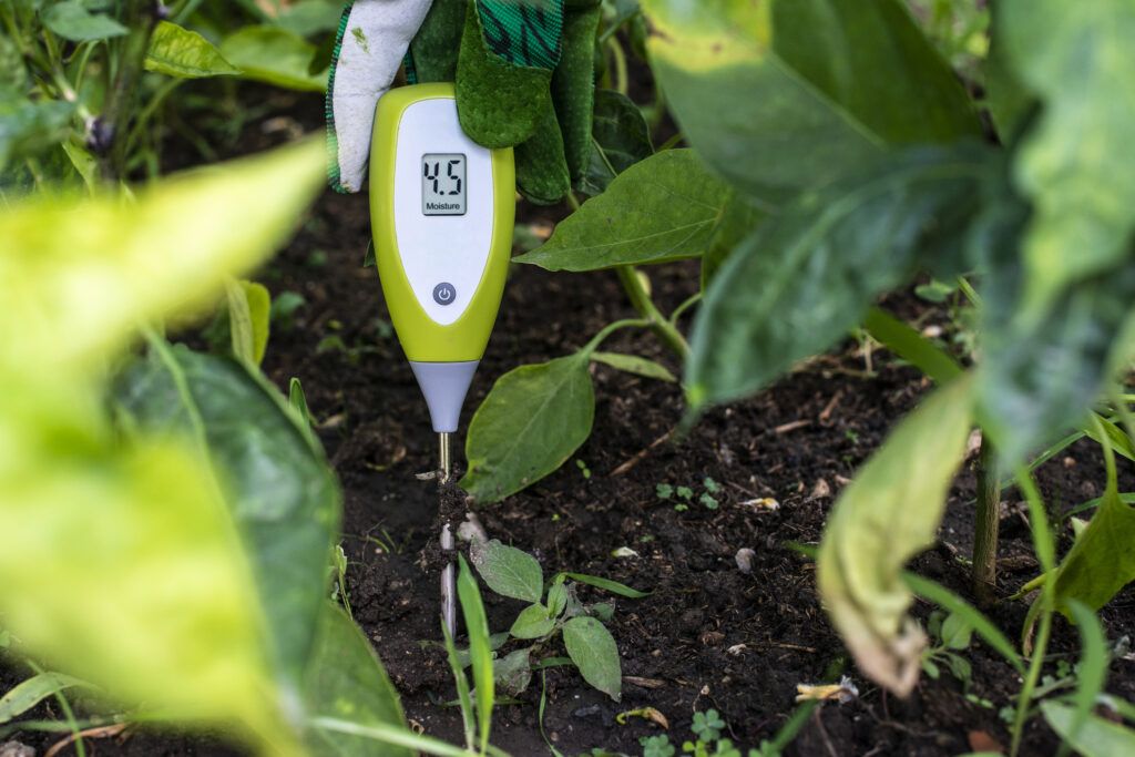 Moisture meter tester in soil. Measure soil for humidity with digital device. Woman farmer in a garden.