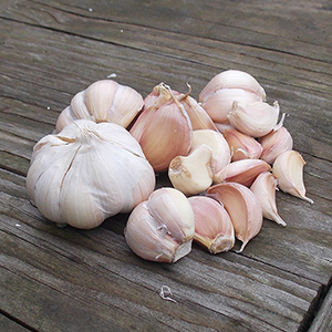 Vietnamese garlic