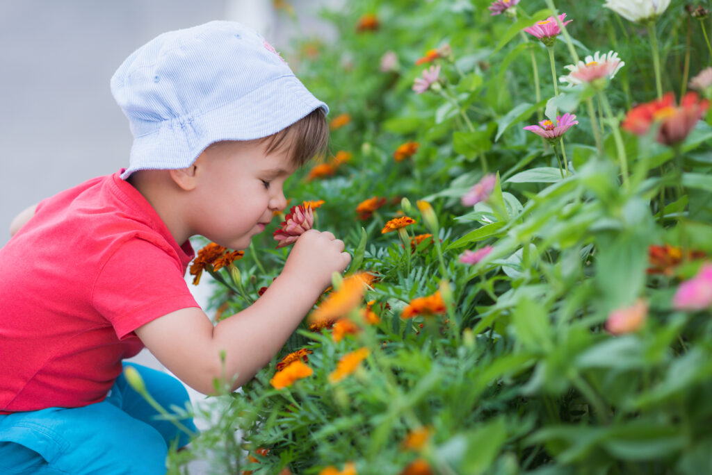 The little boy is smelling the flowers in the garden