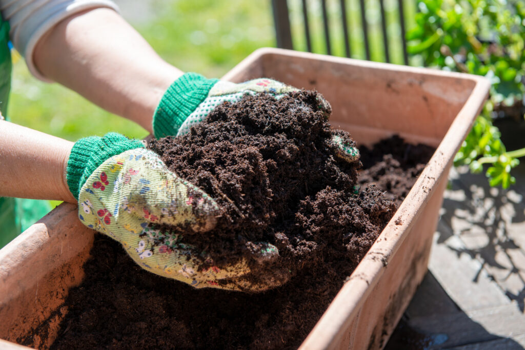 hand woman with handful of soil in garden