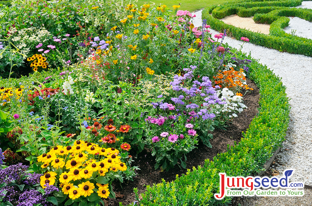 beautiful background of bright garden flowers