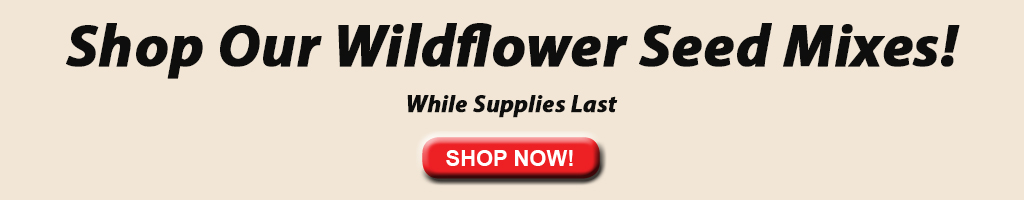Wildflower Seed Mixes