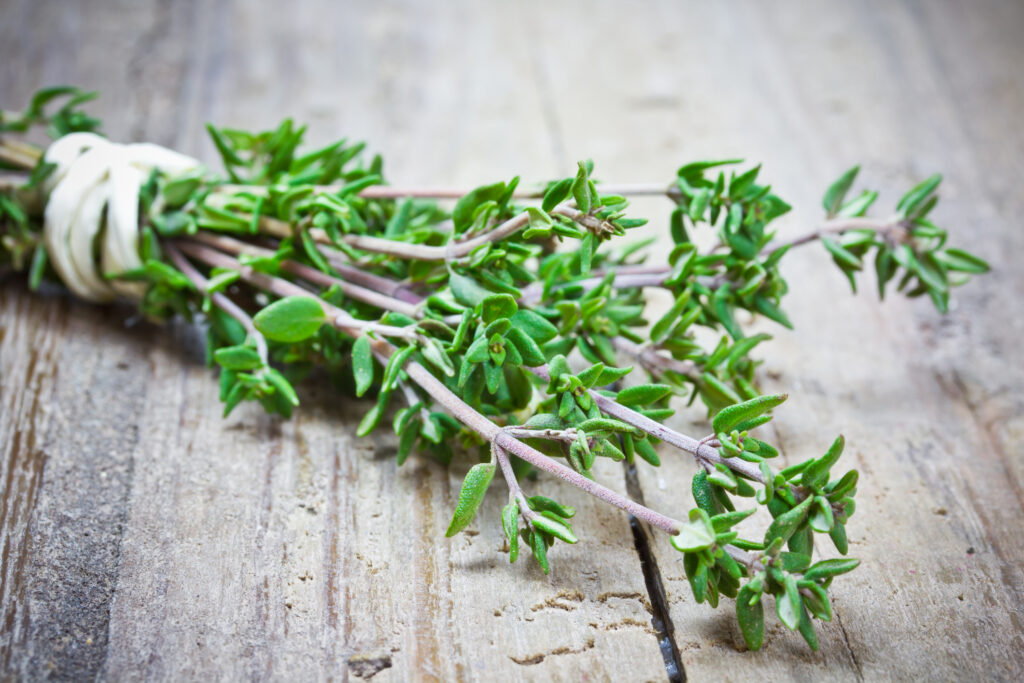 fresh thyme on wooden table