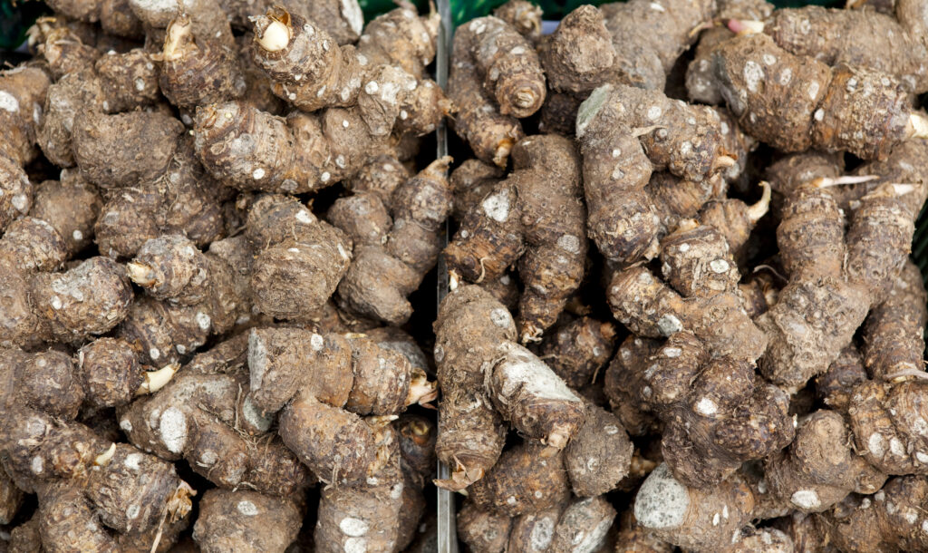 Calla Lilly Bulbs at Flower Market