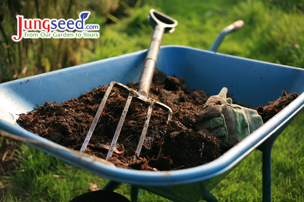 Compost in a wheel barrow