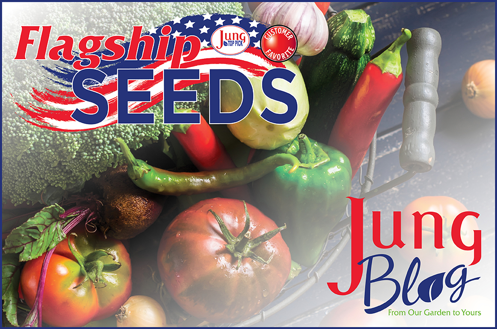 22 Easy To Grow Vegetable Seeds Jung Seed’s Gardening Blog