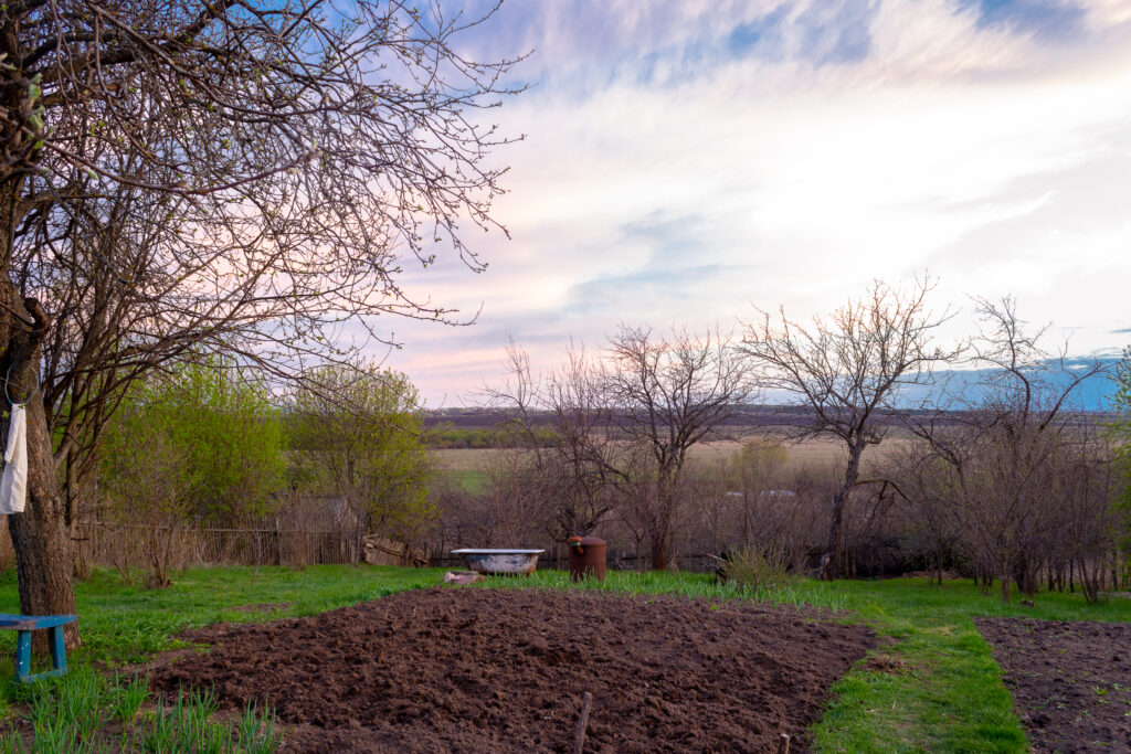 Plowed land, ready for planting vegetables.