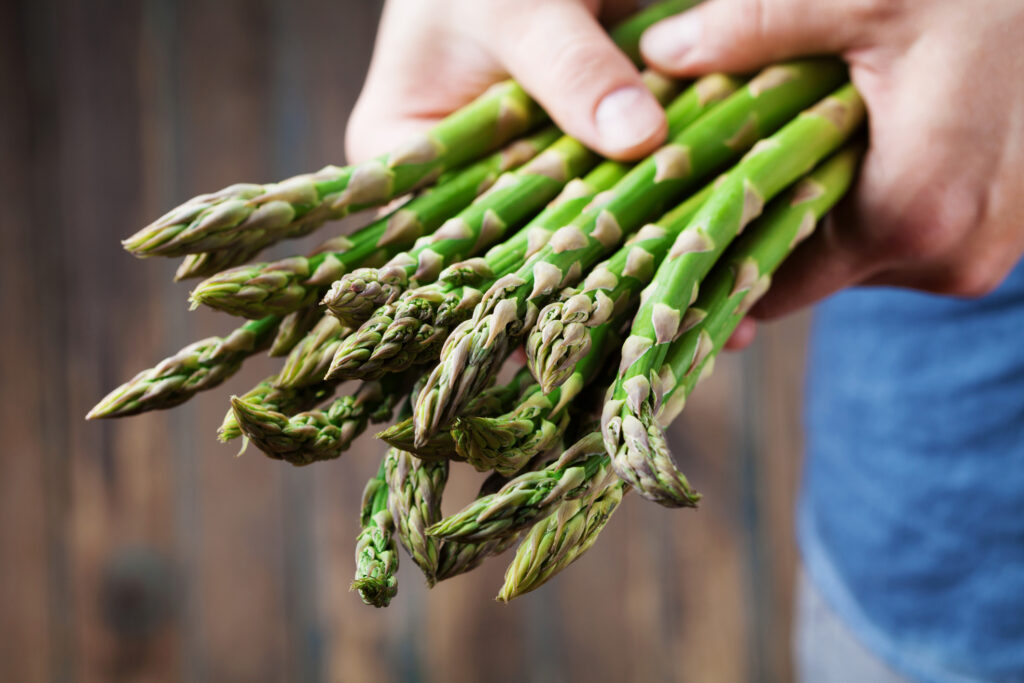 Farmer holding in hands the harvest of fresh green asparagus. Organic vegetables.