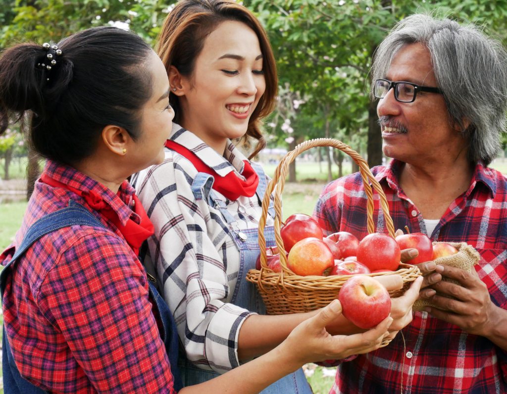 A family of apple farmers with a basket of apples fresh from the apple tree