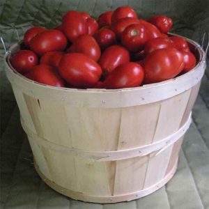 Plum Tomatoes