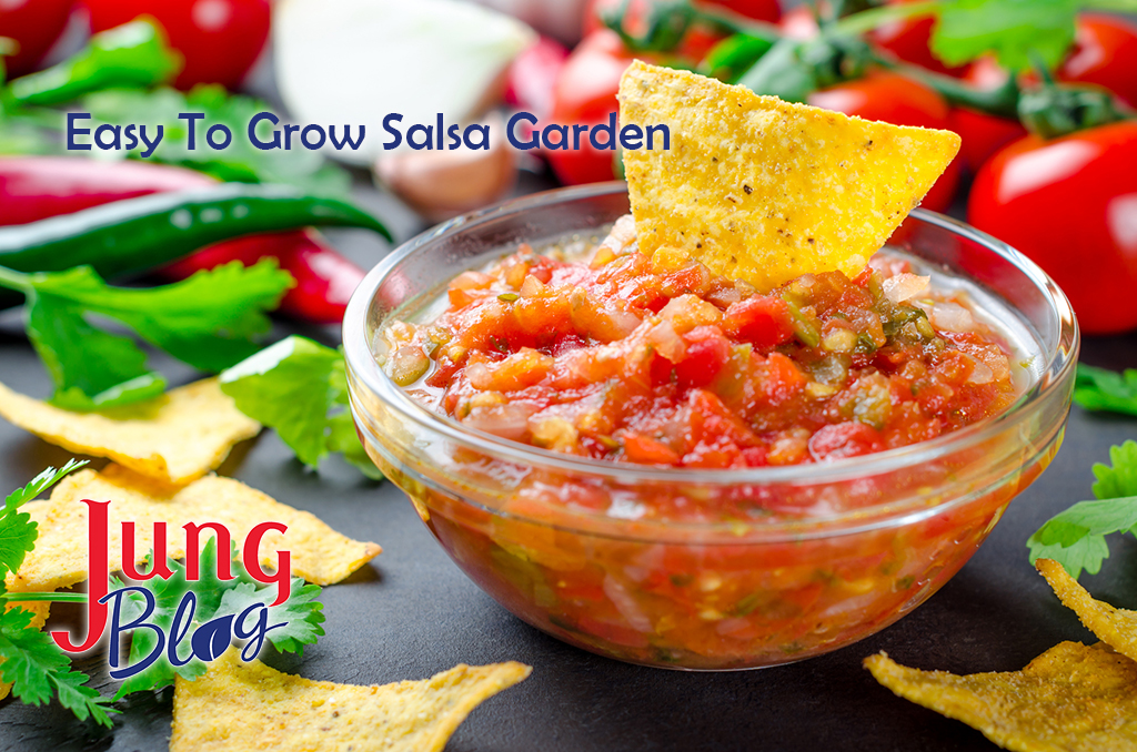 Salsa Garden Kit - Grow Your Own Salsa