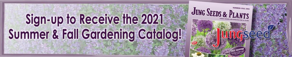 Sign up for the summer/fall gardening catalog