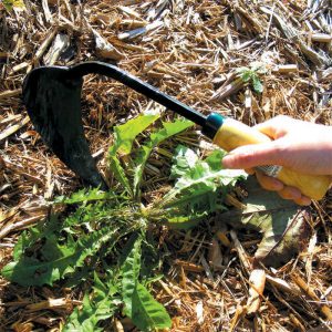 A garden tool for weeding