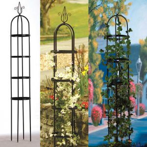 Decorate iron tall slender for growing plants on