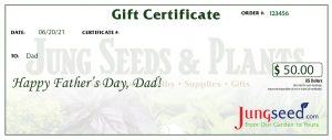 Father's Day Certificates