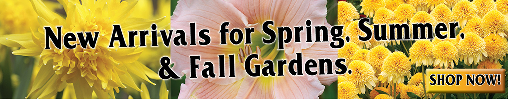 New Arrivals for Spring, Summer, And Fall Gardens