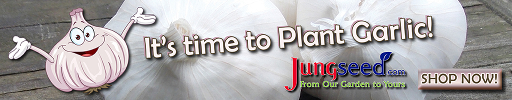 It's time to plant garlic. Shop Now. Image of white garlic.
