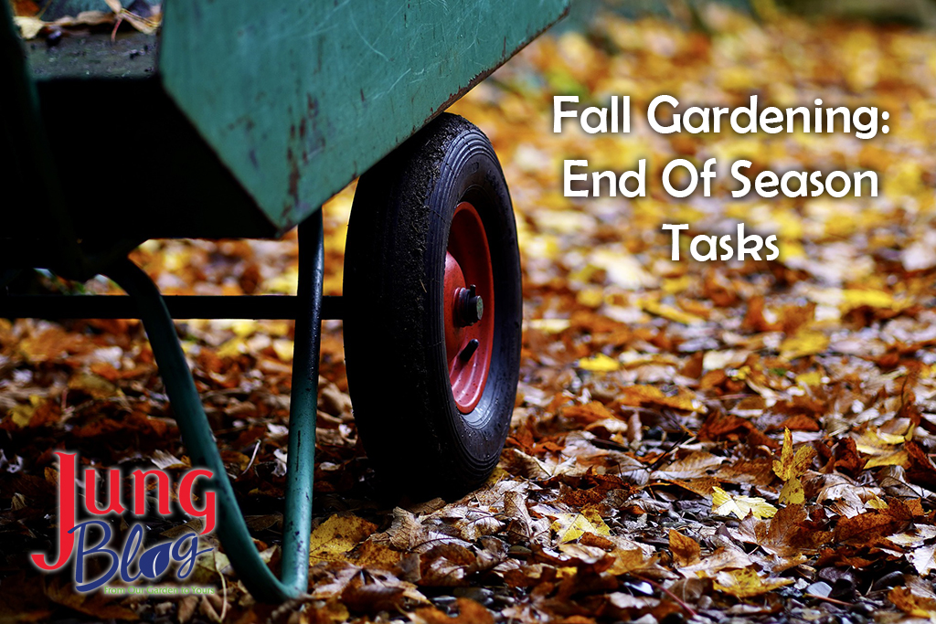 Fall Gardening: End Of Season Tasks