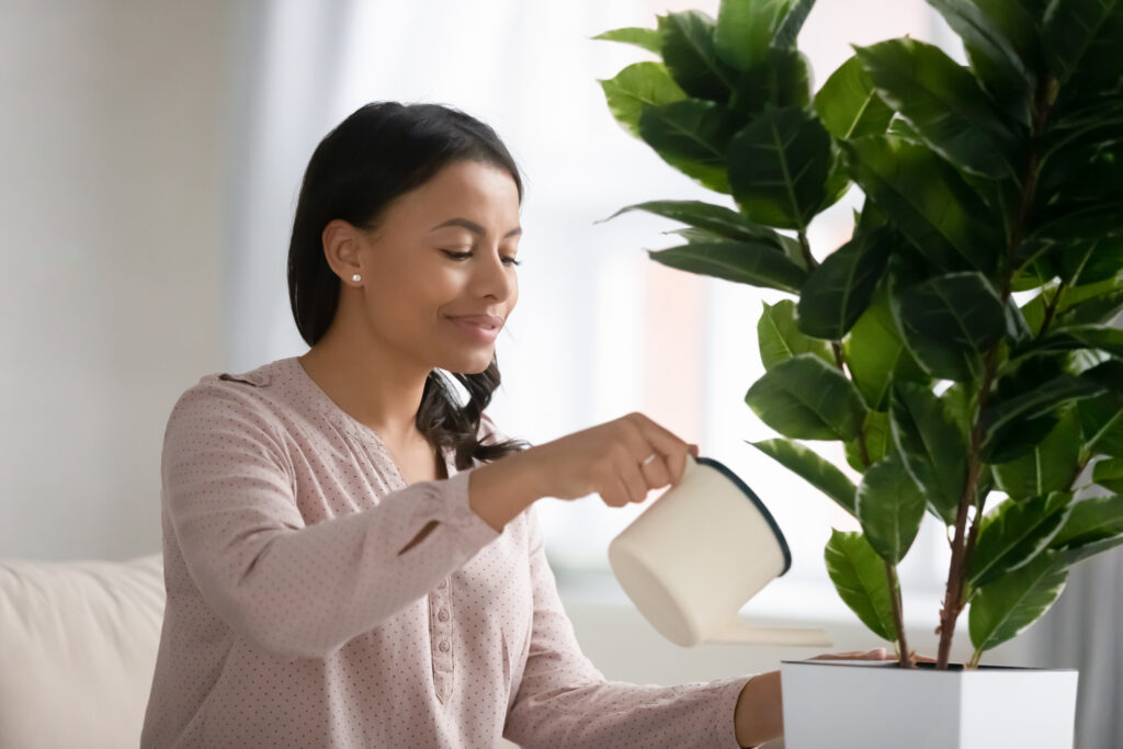 African young woman holding can watering houseplant