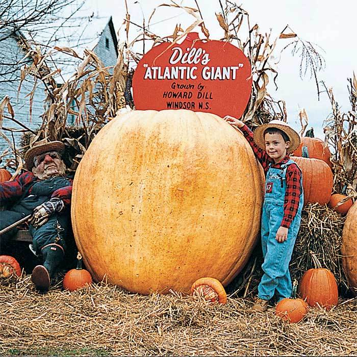 A large pumpkin next to a child and halloween decorations
