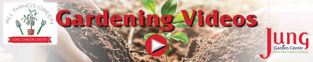 YouTube Banner for the gardening channel All Things Green by Jung Garden Center