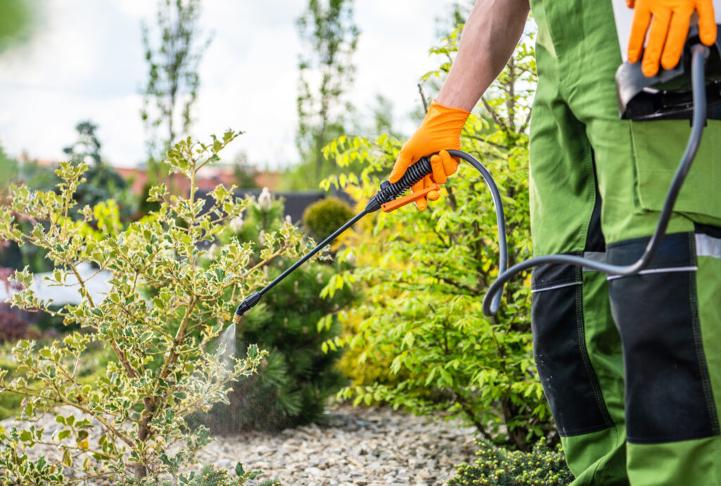 Caucasian Gardener Performing Scheduled Spring Time Insecticide and Fungicide Job.